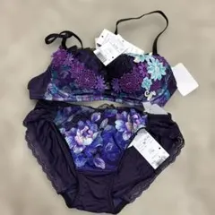 2026年最新】サルート ブラジャー c70の人気アイテム - メルカリ