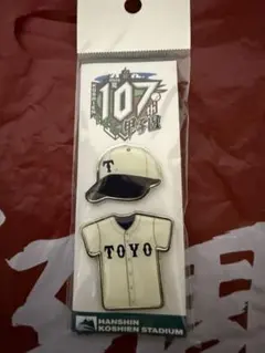 2026年最新】東洋大姫路 帽子の人気アイテム - メルカリ