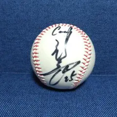 2026年最新】新井貴浩 サインの人気アイテム - メルカリ