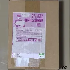 2025年最新】テラスタルフェスex BOX シュリンク付の人気アイテム