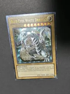 2026年最新】yskr-en001の人気アイテム - メルカリ