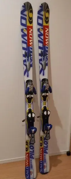 2026年最新】salomon demoの人気アイテム - メルカリ