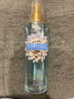 2026年最新】ヴィクトリアシークレット シークレットチャームの人気