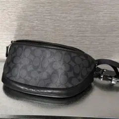 2026年最新】コーチ 78777の人気アイテム - メルカリ