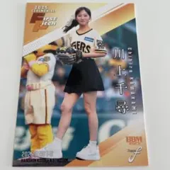 2026年最新】川上千尋 bbmの人気アイテム - メルカリ