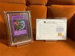 2026年最新】フレイムウィングマン psa10の人気アイテム - メルカリ