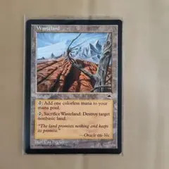 2026年最新】不毛の大地の人気アイテム - メルカリ