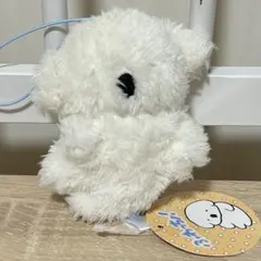 2026年最新】ふわっち ぬいぐるみの人気アイテム - メルカリ