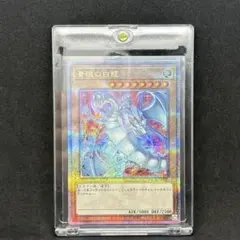 2026年最新】青眼の白龍 25th QUARTER CENTURY ART COLLECTIONの人気