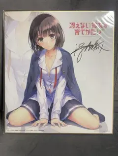 2026年最新】加藤恵 サインの人気アイテム - メルカリ