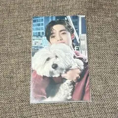 2026年最新】エスクプス クマ トレカの人気アイテム - メルカリ