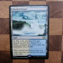 2026年最新】溢れかえる岸辺の人気アイテム - メルカリ