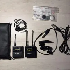 2026年最新】uwp d21 sonyの人気アイテム - メルカリ