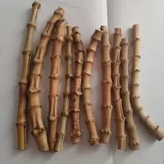 2026年最新】布袋竹の人気アイテム - メルカリ