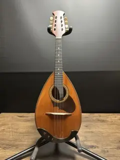 2026年最新】マンドリンM-60の人気アイテム - メルカリ