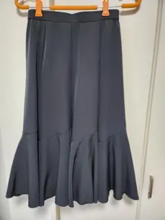 2026年最新】チャコット社交ダンス スカートの人気アイテム - メルカリ