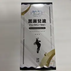 2026年最新】黒瀬見波ブラックバニーの人気アイテム - メルカリ