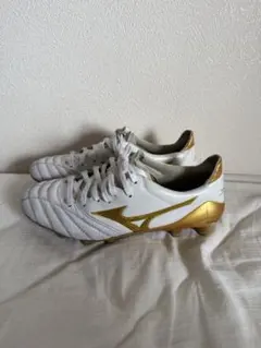 2026年最新】モレリアネオ4 25.5の人気アイテム - メルカリ