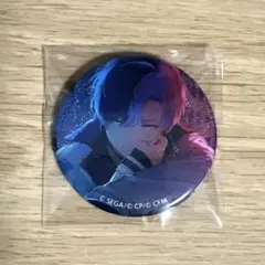 2026年最新】青柳冬弥缶バッジの人気アイテム - メルカリ