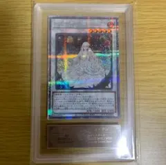 2026年最新】ガーデン・ローズ・メイデン 25thの人気アイテム - メルカリ