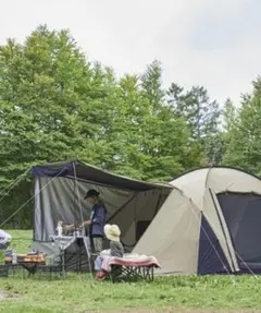 2026年最新】ホールアース アーストリッパーscの人気アイテム - メルカリ