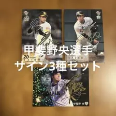 2026年最新】ホークス甲斐野サインの人気アイテム - メルカリ