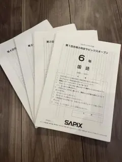 2026年最新】SAPIX模試の人気アイテム - メルカリ