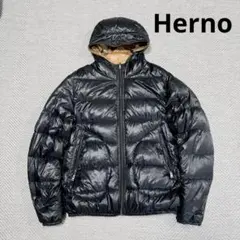 2026年最新】ヘルノ ダウン リバーシブルの人気アイテム - メルカリ