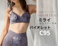 2026年最新】シャルレ ミライブラジャーの人気アイテム - メルカリ