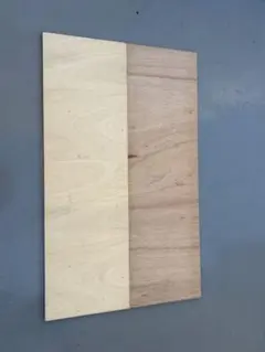 2026年最新】コンパネ フラメンコの人気アイテム - メルカリ