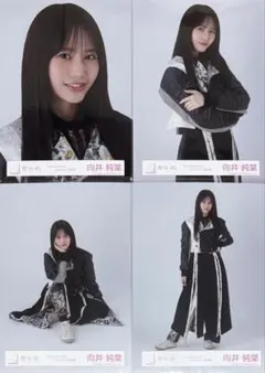 2026年最新】向井純葉生写真の人気アイテム - メルカリ