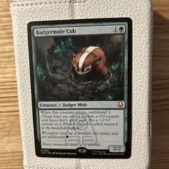 2026年最新】アナグマモグラの仔の人気アイテム - メルカリ