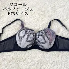 2026年最新】ワコールパルファージュVリッチブラの人気アイテム - メルカリ