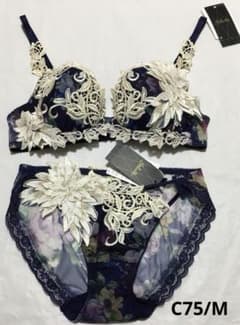 希少✨☆ワコール サルート E65・M☆62G