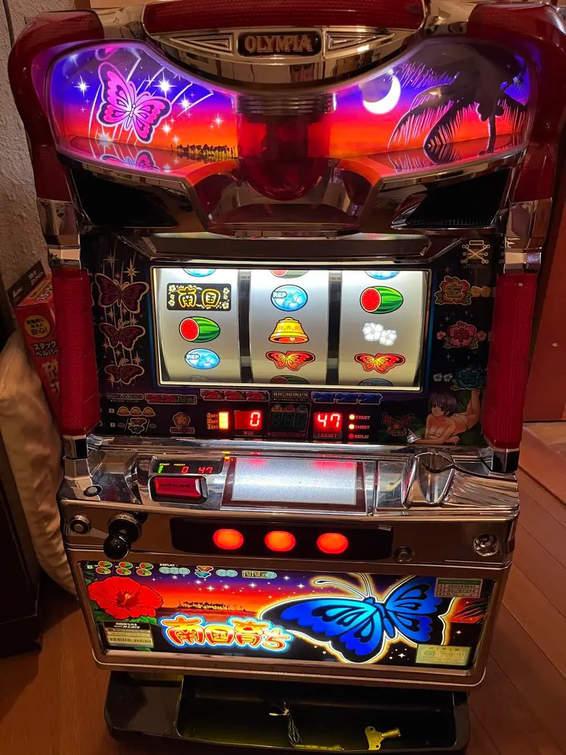 2026年最新】南国育ち実機の人気アイテム - メルカリ