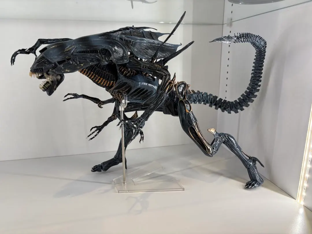 2026年最新】neca エイリアン クイーンの人気アイテム - メルカリ