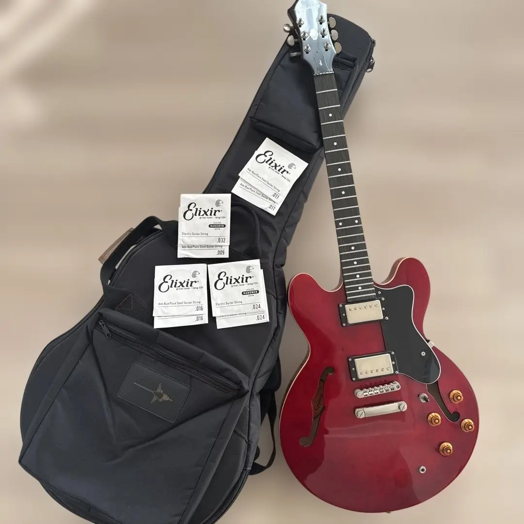 2026年最新】Epiphone dot chの人気アイテム - メルカリ