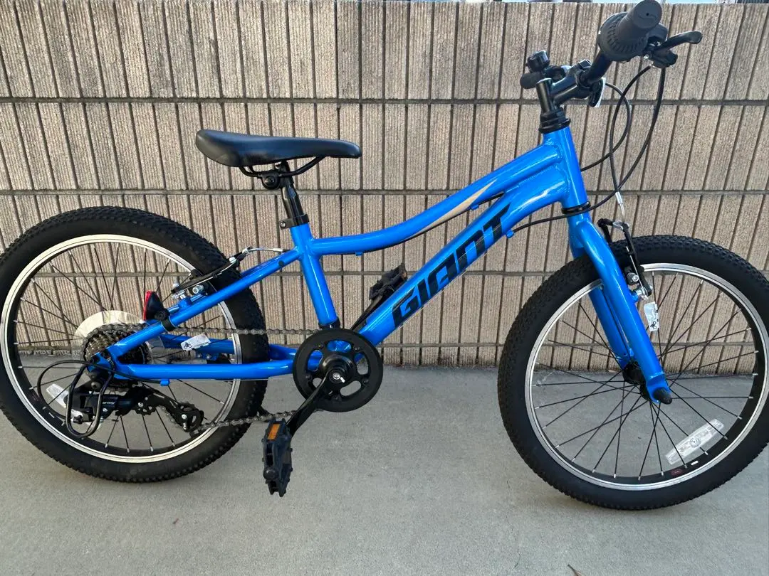 2026年最新】ジャイアント GIANT XTCの人気アイテム - メルカリ
