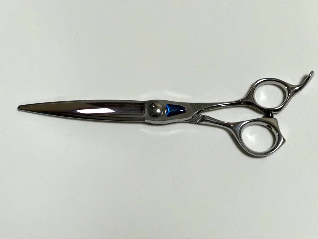 2026年最新】トギノン マリンシャークの人気アイテム - メルカリ