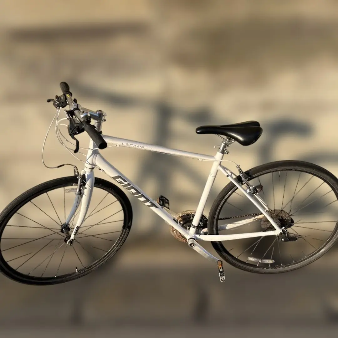 2026年最新】GIANT ESCAPE R3 mの人気アイテム - メルカリ