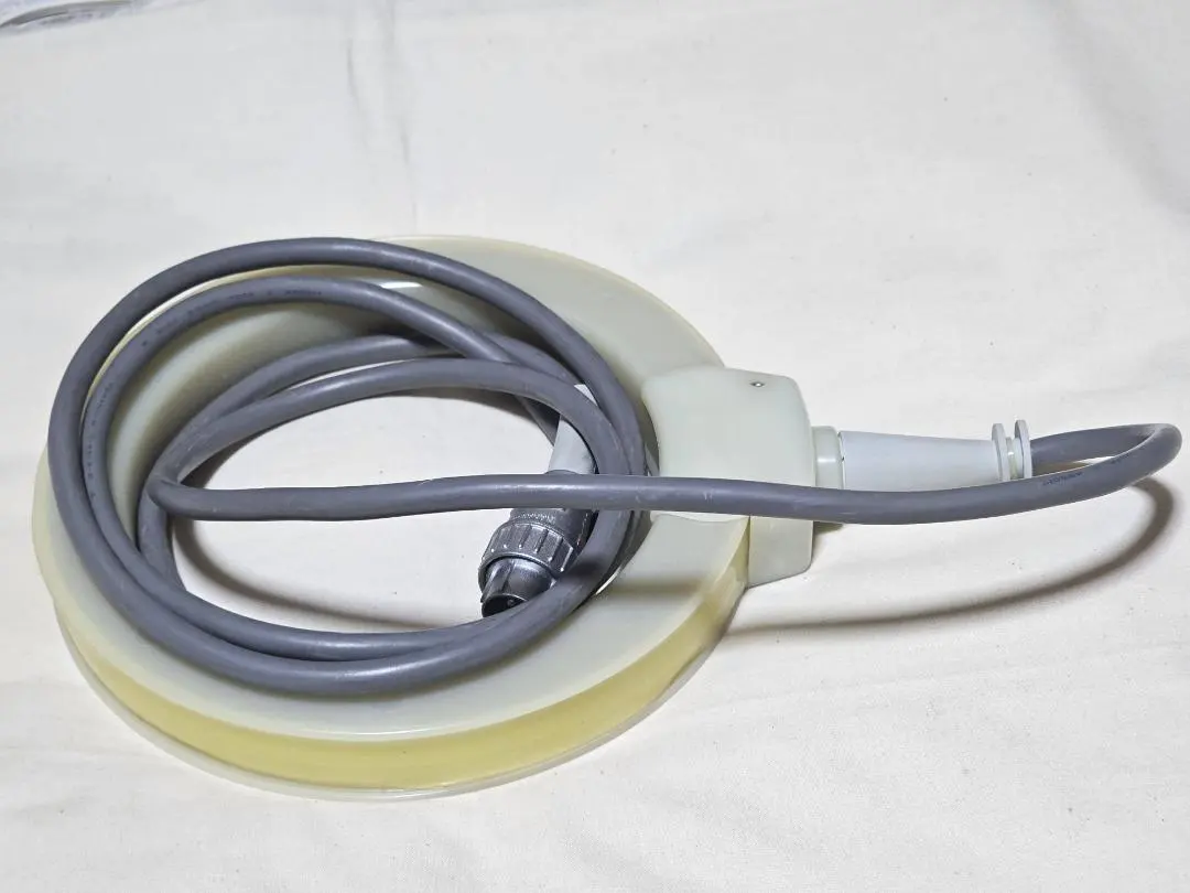 2026年最新】Mリング 政木の人気アイテム - メルカリ