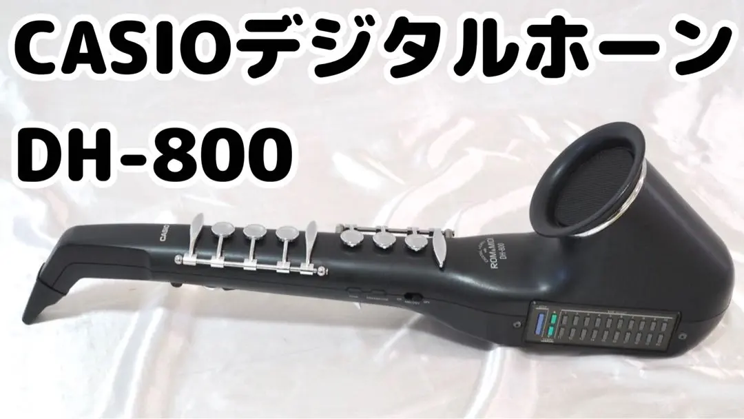 2026年最新】カシオ DH-800の人気アイテム - メルカリ