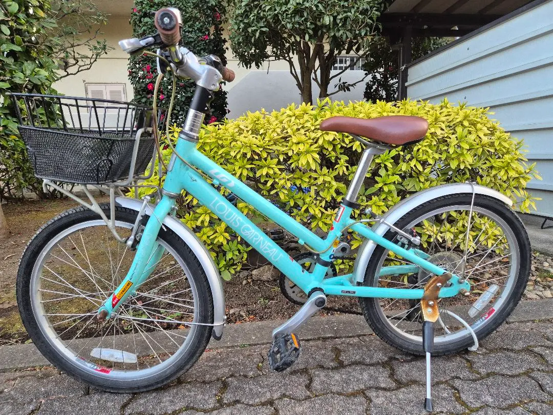 2026年最新】ルイガノ 20インチの人気アイテム - メルカリ