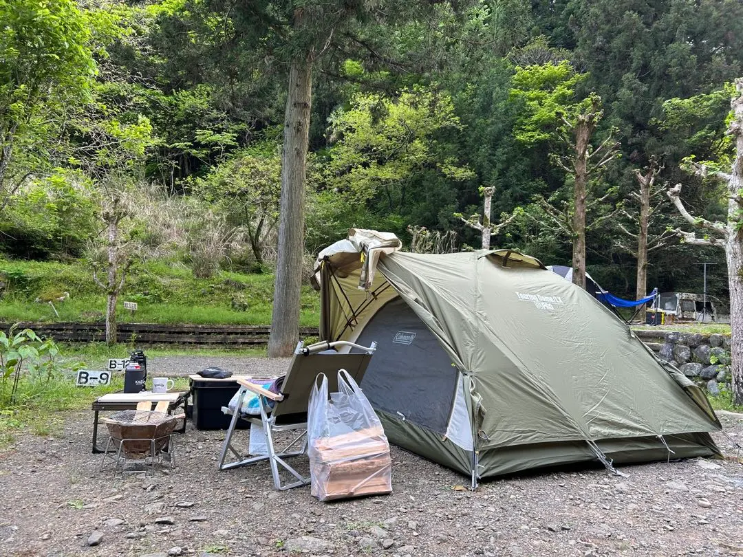 2026年最新】コールマン ツーリングドームlx 限定の人気アイテム