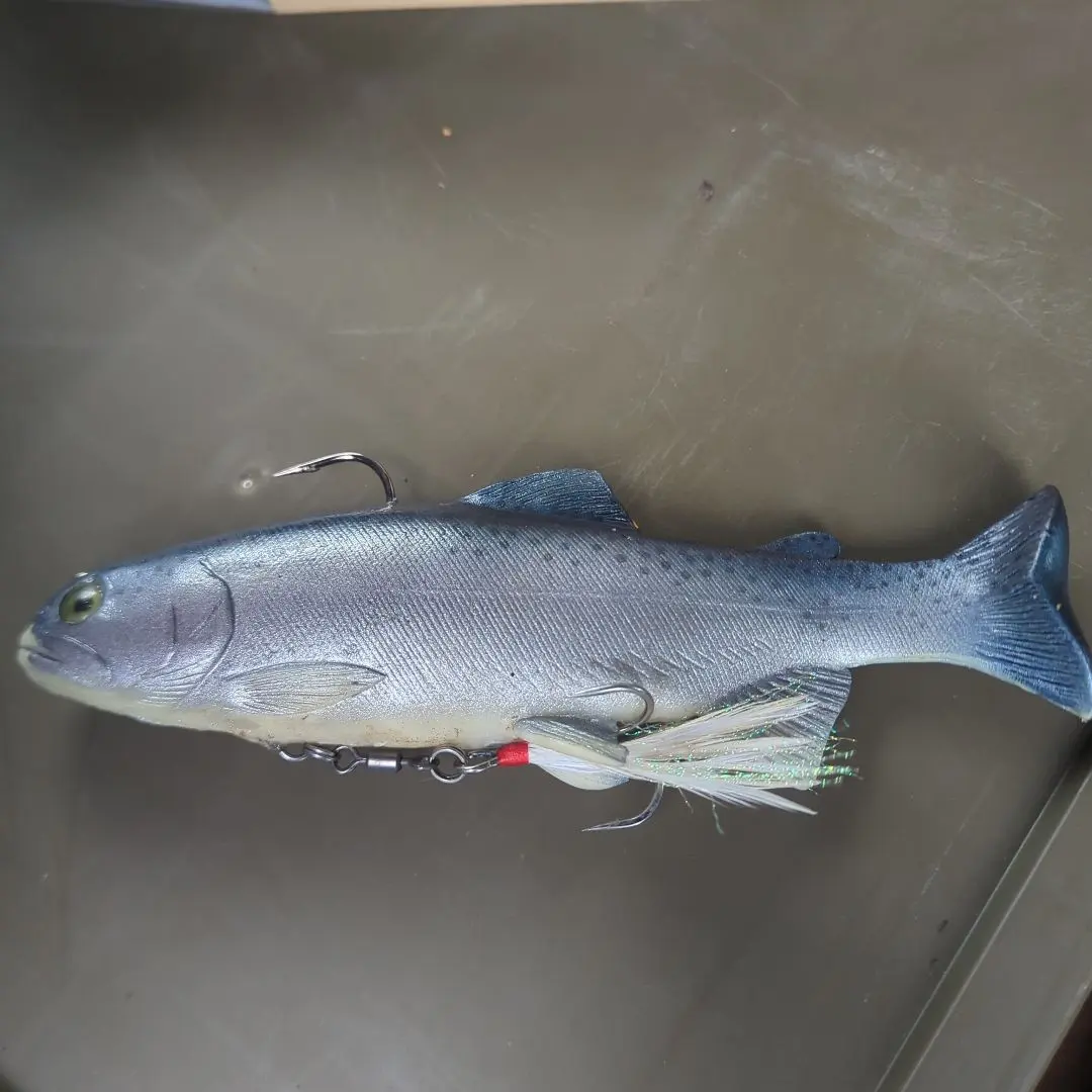 2026年最新】ハドルトラウト6の人気アイテム - メルカリ