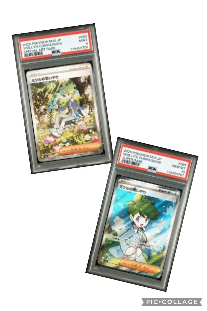 2026年最新】ミツル sr psa10の人気アイテム - メルカリ