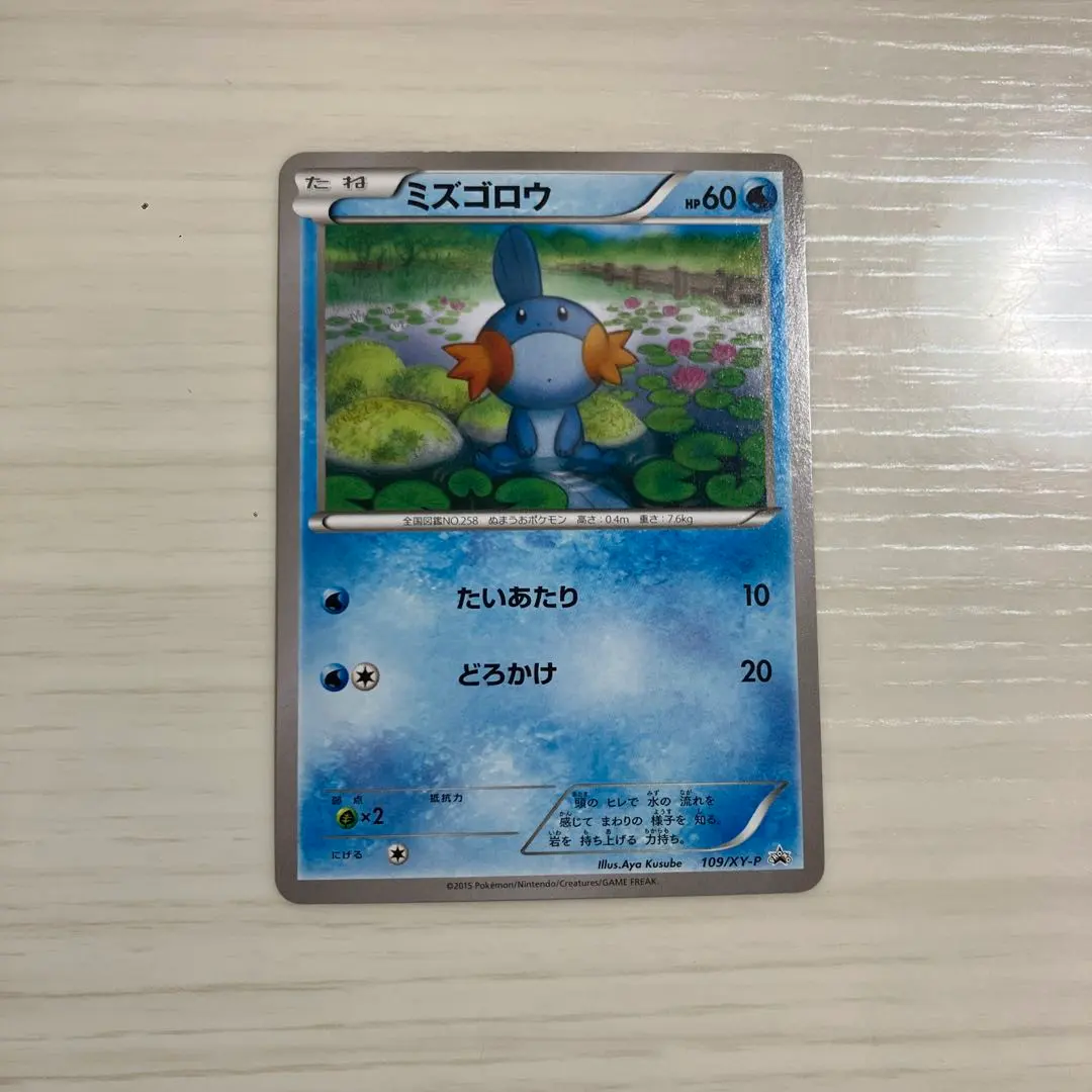 2026年最新】ポケモンカード ミズゴロウ 109/xy-pの人気アイテム