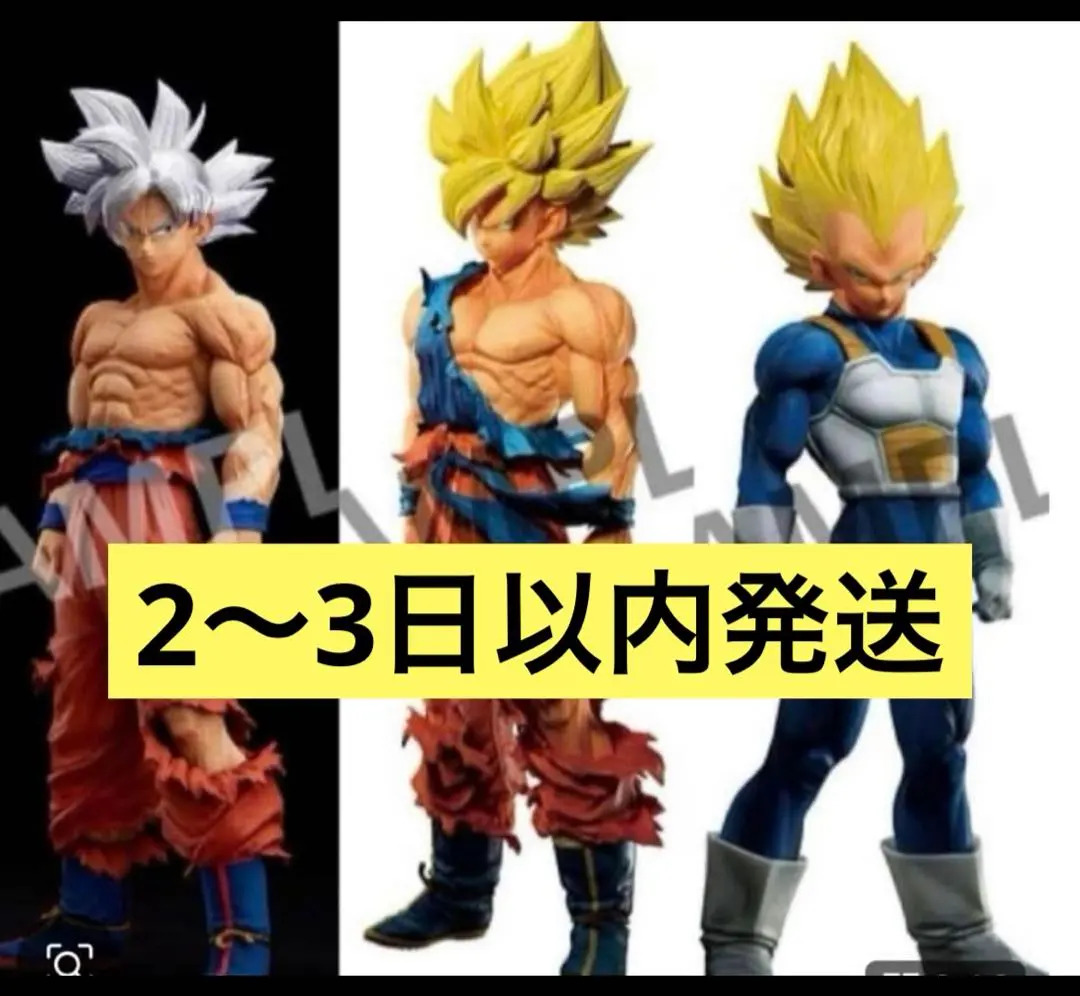 m86420371942_1.jpg?1769693938