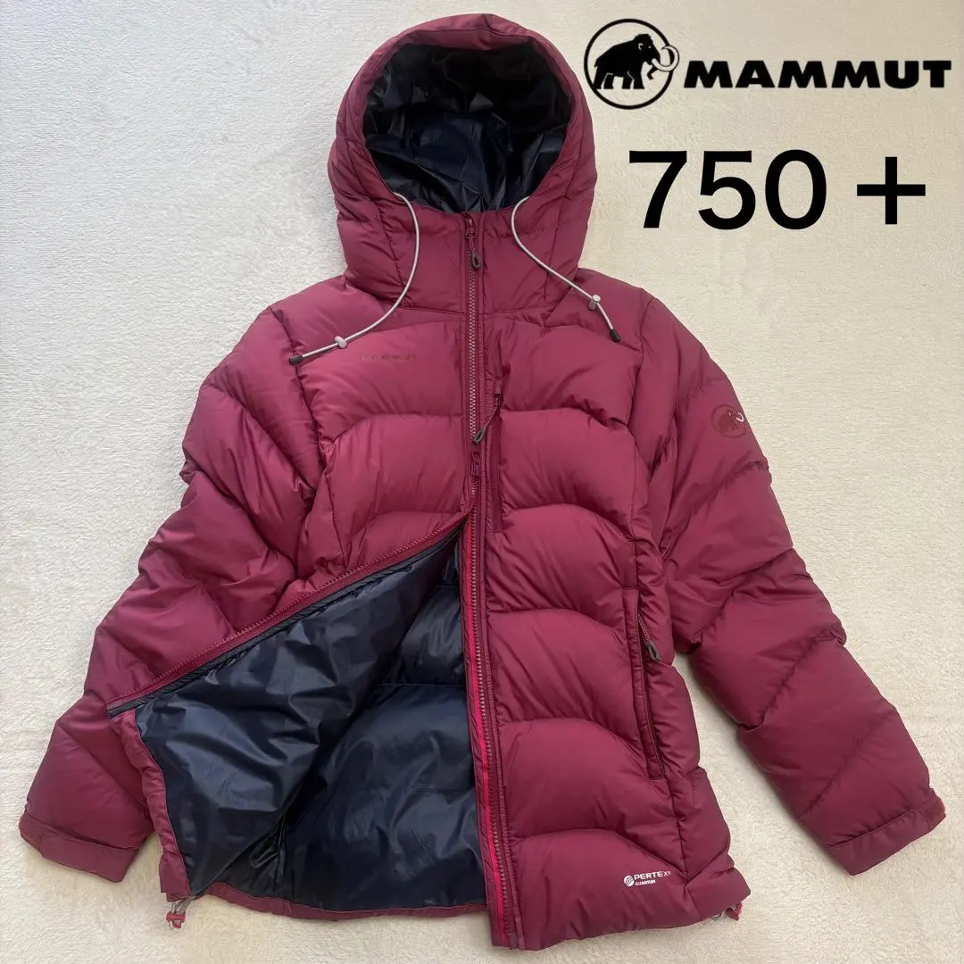 2026年最新】マムート ダウン エクセロンの人気アイテム - メルカリ
