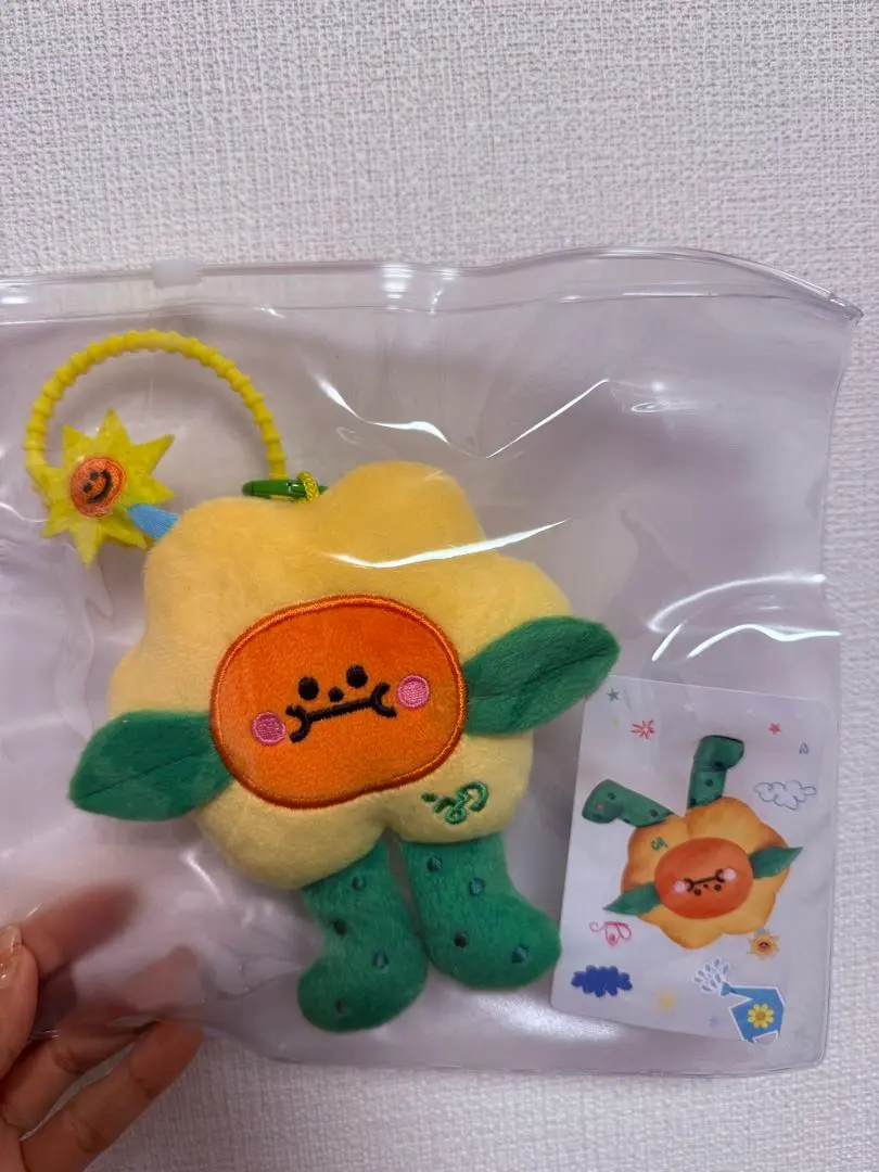 2026年最新】JoongDunk ぬいぐるみの人気アイテム - メルカリ